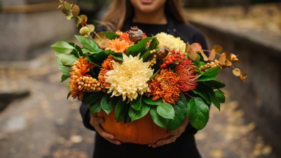 Flores y plantas de otoño para tu balcón o terraza